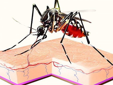 கேரளாவில் ஜிகா வைரஸ் பாதிப்பு... 23 ஆக அதிகரிப்பு...