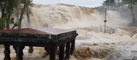 தொடர்மழை- திற்பரப்பு அருவியில் தடுப்பு வேலியை தாண்டி ஆர்ப்பரித்து கொட்டும் தண்ணீர்....