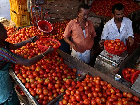 தக்காளி விலை உயர்வால் பொதுமக்கள்  கடுமையாக அவதி...