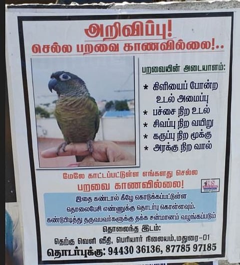 பறவை காணவில்லை என போஸ்டர் ஒட்டிய உரிமையாளர்! வைரலாகும் புகைப்படம்!!