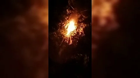பொதுமக்களை அச்சுறுத்தி வந்த விஷ வண்டுகள்....!