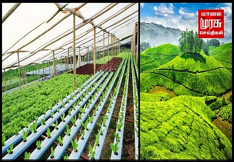 நீலகிரியில் சுற்றுச்சூழலை பாதுகாக்கும் ஹைட்ரோபோனிக்ஸ் விவசாயம்:   50% மானியம் ..!