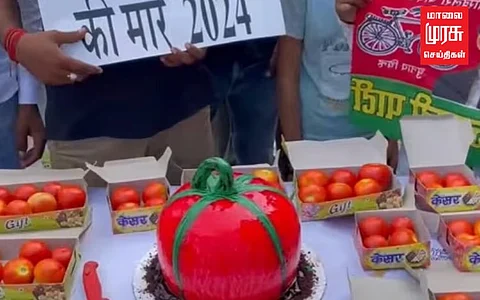 அகிலேஷ் யாதவ் பிறந்தநாள்; தக்காளி வடிவ கேக் வெட்டி கொண்டாட்டம்!