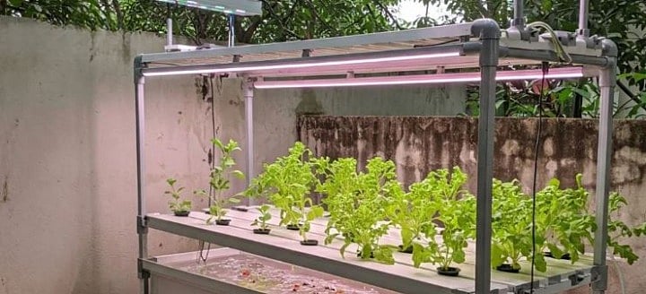Hydroponics is a soilless farming method