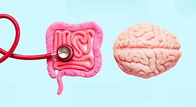 The need to protect the stomach, the second brain that controls the body