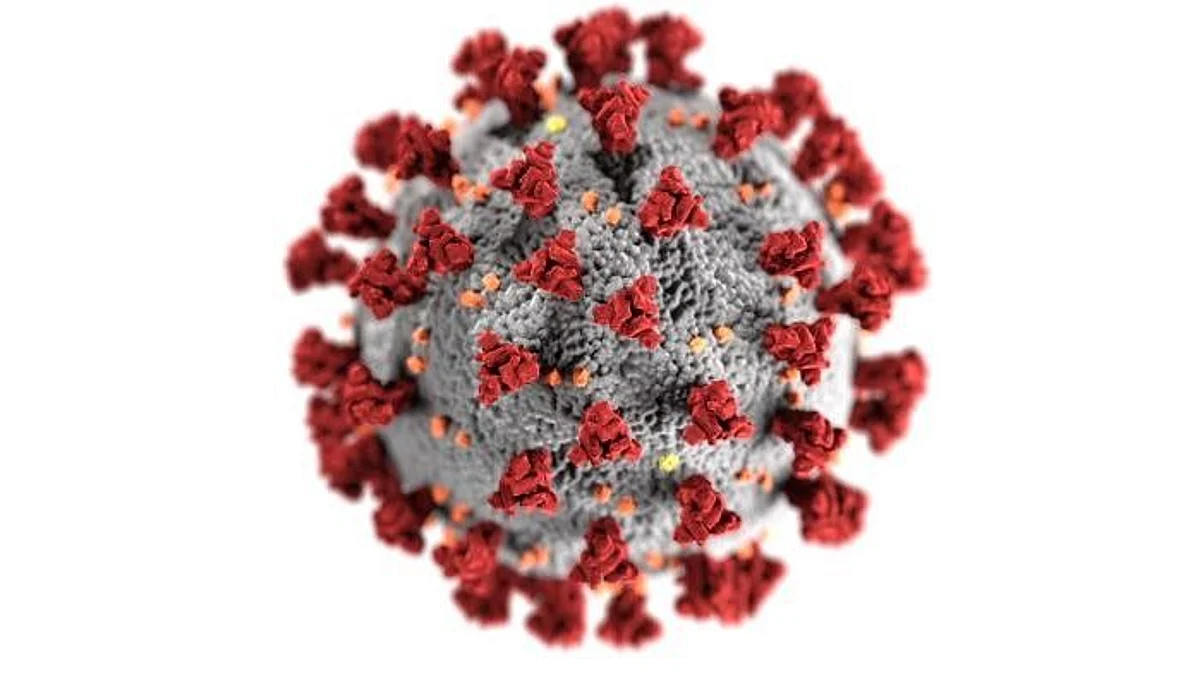 Coronavirus Spike Protein: effects on Immunity & heart health (representational image - CDC PHIL)