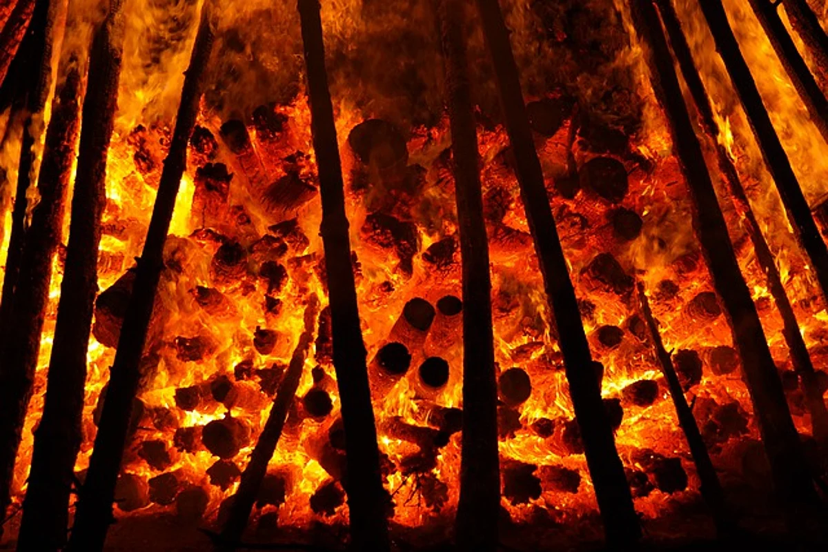 Scorching Heat Wave Sparks Wildfires in Europe (representational pic - Pixabay)