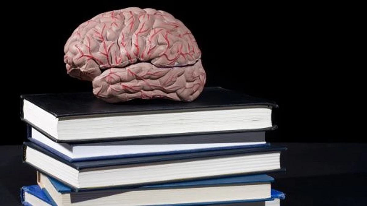 Application of brain ripples for binding information across cortex (representational image - Unsplash)