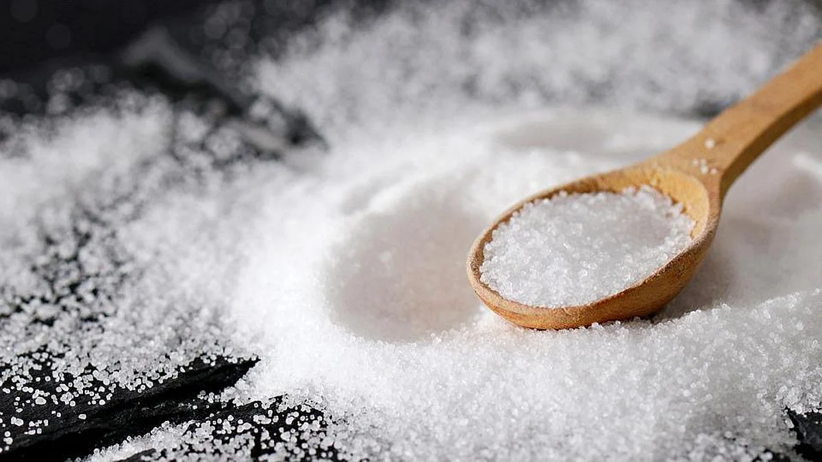 People who add extra salt to their food at the table are at higher risk of dying prematurely from any cause, according to a study of more than 500,000 people, published in the European Heart Journal (representational image - Pixabay)