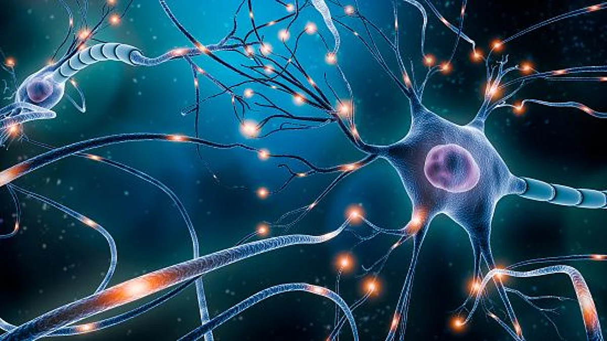 Brain's neurons are humming along to Mozart (representational image - Unsplash)