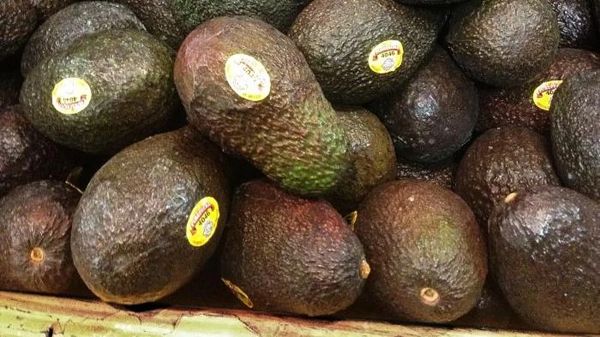Avocados: boost diet quality, lower cholesterol levels (representational image - CDC PHIL )