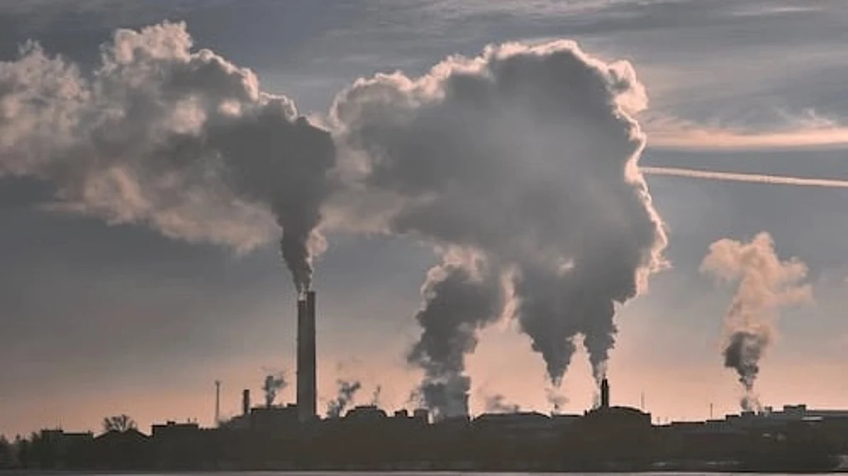 Nitric oxide originates from combustion at high temperatures, in particular from diesel vehicles. Combustion is also a source of PM10, along with abrasion from brakes and tyres, and dust (Unsplash)