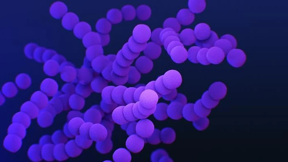 The toxin unfolds its lethal effect by preventing the release of neurotransmitters at the point where nerve cells attach to muscles, thereby paralyzing them (representational image - CDC PHIL)