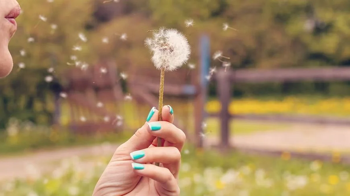 They found that even a small amount of pollen (a total of 180) is sufficient to produce an allergic reaction, much less than the high pollen concentrations during the flowering period (representational image - Unsplash)