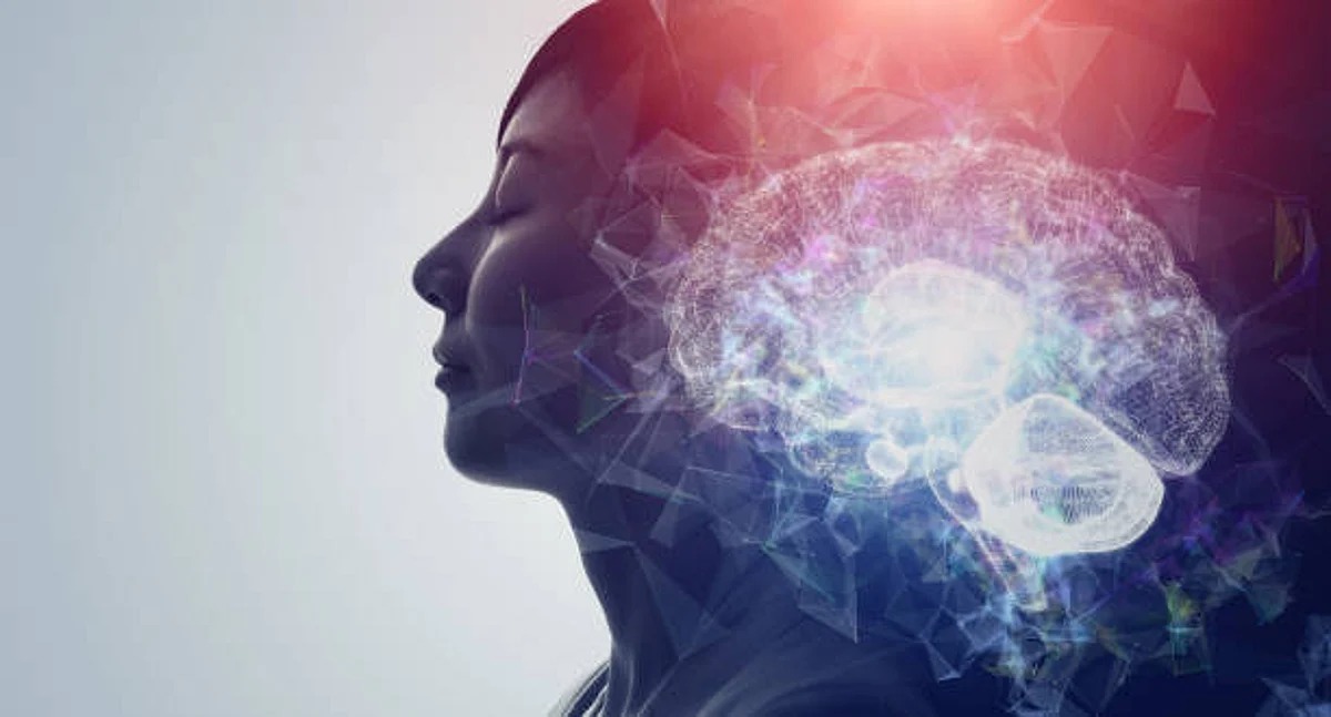 A Switch Telling the Brain When to Learn and When to Remember (Unsplash)