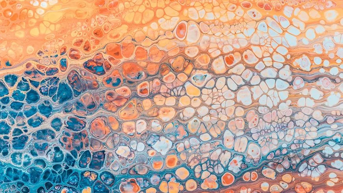 Inside a living cell, proteins and other molecules can be difficult to image because the fluorescent labels used to make them visible can’t wedge themselves in between the molecules (Unsplash)