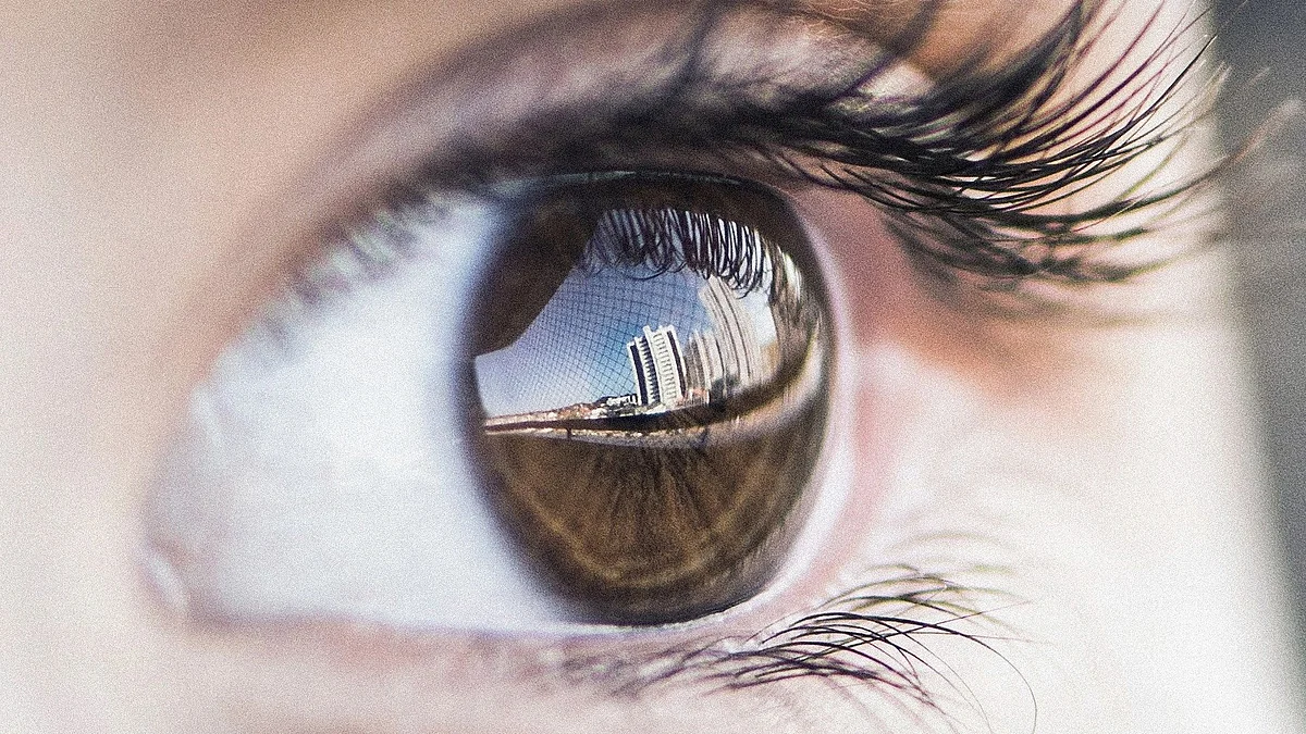 Eye movements in REM sleep mimic gazes in the dream world (Pixabay)