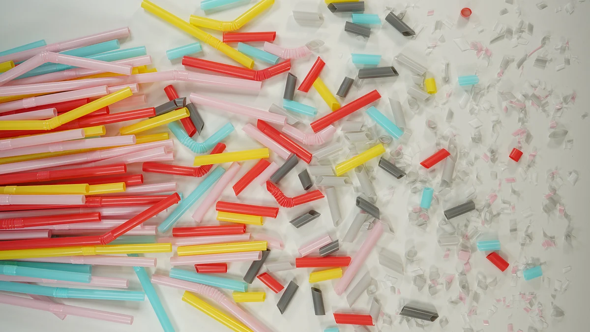 Plastic never biodegrades, it only changes form! (Unsplash)
