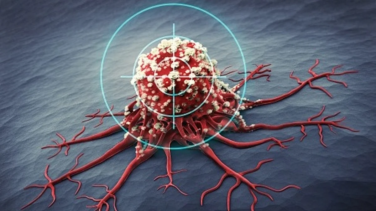 Fascin is actively transported in and out of the nucleus and, once there, it supports the assembly of actin bundles (Unsplash)
