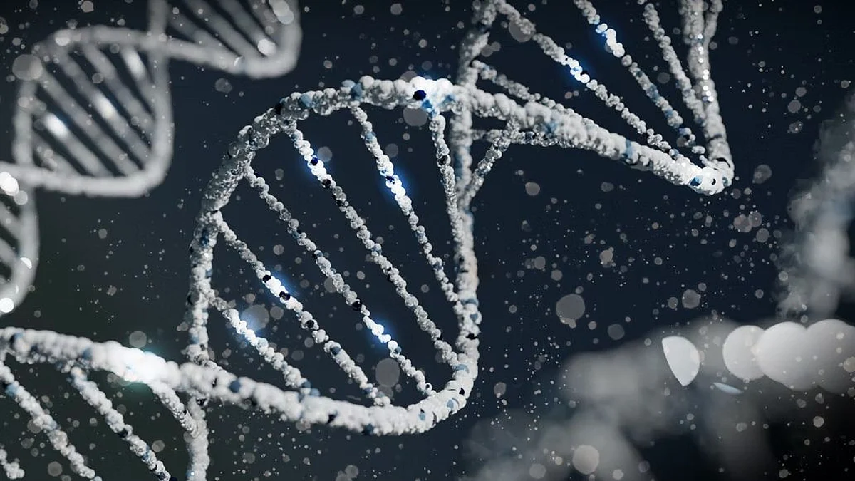 DNA damage caused by factors such as ultraviolet radiation affect nearly three-quarters of all stem cell lines derived from human skin cells, say Cambridge researchers (Unsplash)