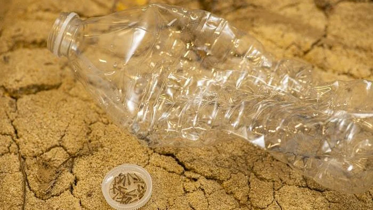 Researchers from the Manchester Institute of Biotechnology (MIB) have developed a new enzyme engineering platform to improve plastic degrading enzymes through directed evolution (representational image - CDC PHIL)