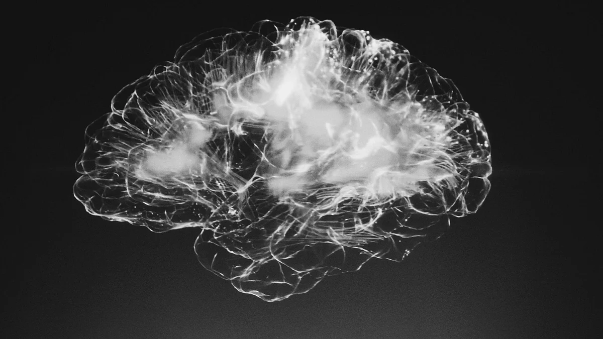 Is brain fog limited to humans?(representational image - Unsplash)