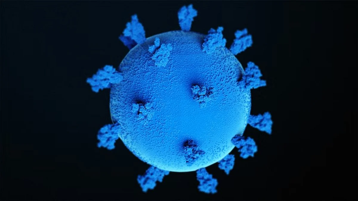 A new, broadly neutralizing antibody developed at Boston Children’s Hospital could potentially improve our ability to defend against future variants (Unsplash)