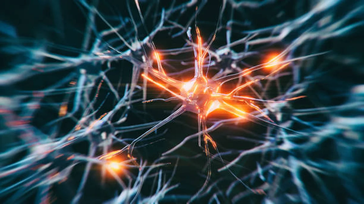 Electrical activity is common after traumatic brain injury, stroke and which affects more than half of individuals with Alzheimer’s (Unsplash)