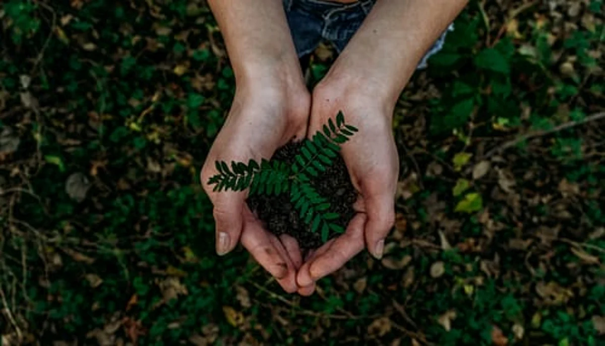Machine learning may enable bioengineering of enzyme (Unsplash)