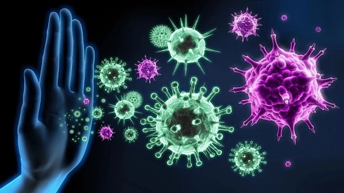 Receptors of the immune system that recognise bacterial cell wall components play a central role in this process. (Unsplash)
