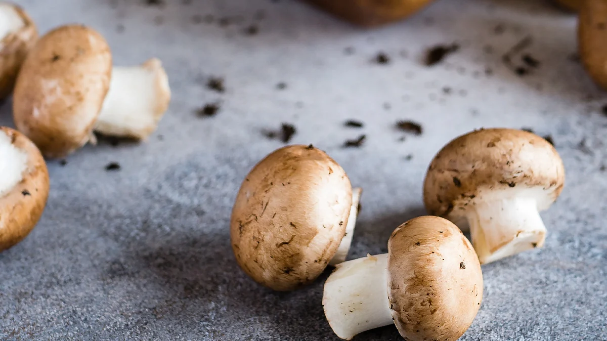 Around 200 Mushroom species are consumed as superfood (Unsplash)