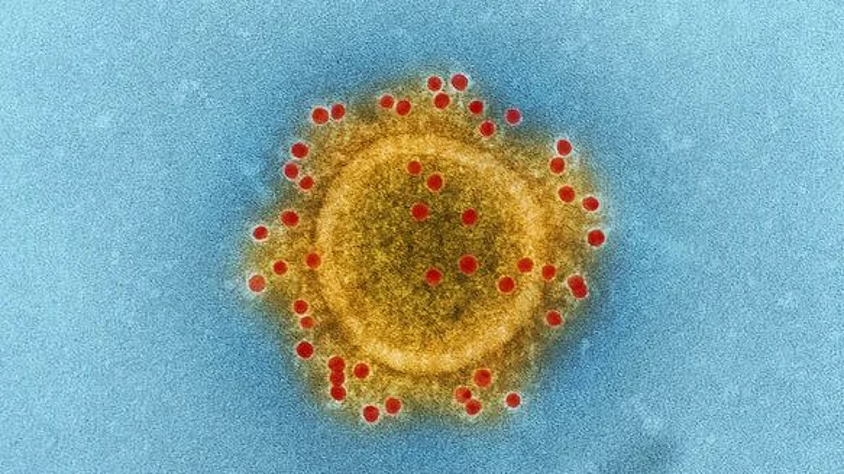 Another monkey virus could be poised for spillover to humans (Unsplash)