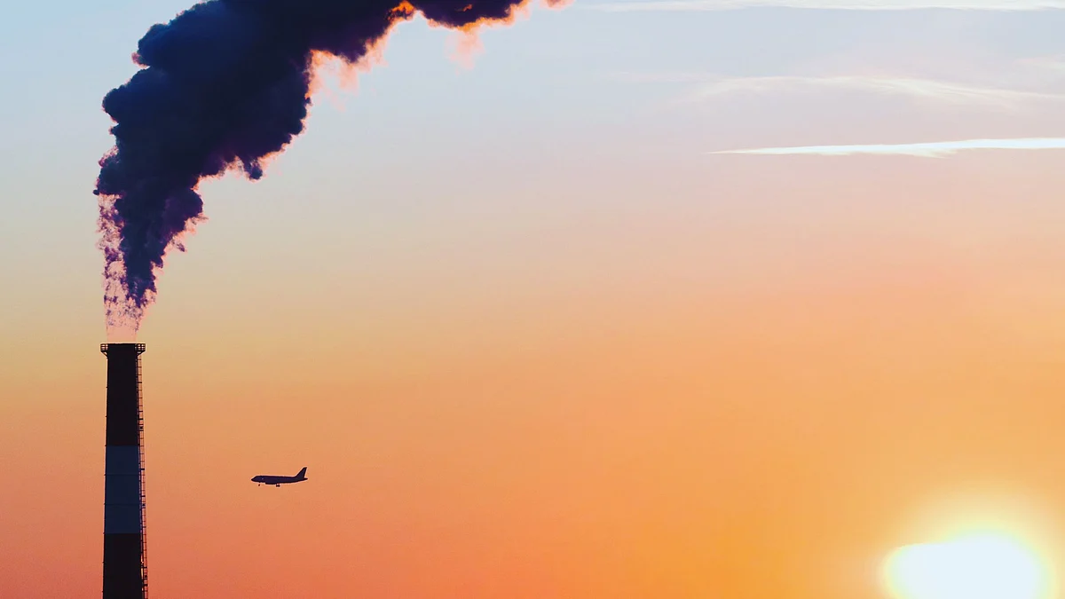Pollution: Alters gut microorganisms, may boost disease risk (Unsplash)