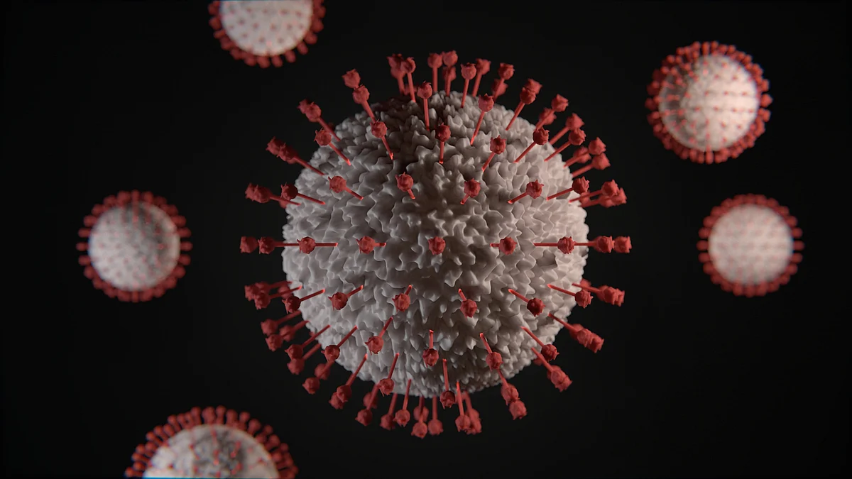 Infection with certain viruses is associated with different human cancers