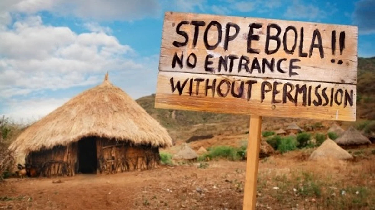 The source of the 2014 Ebola outbreak in West Africa, which killed more than 11,000 people, was human interaction with bats (Unsplash)