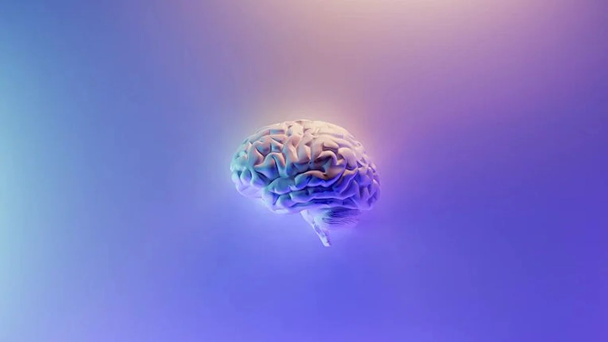 The grey matter consists of the nerve cells – or neurons – and dendrites, while the white matter provides the contacts between the cells (myelinated axons) and contributes to the transmission speed and distribution of the signals (Image source-Unsplash)