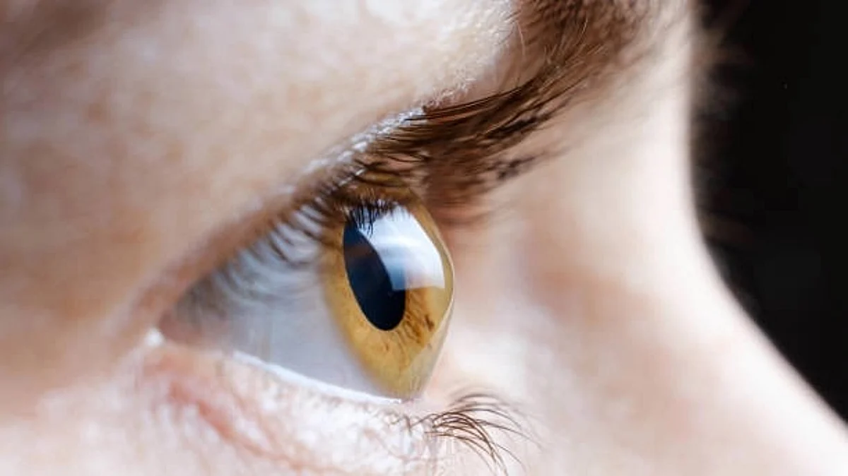 Vitronectin is a key player in many age-related diseases; the most promising target is macular degeneration (Unsplash)