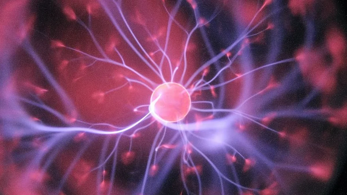 Researchers have findings that add to our knowledge of how human behavior may be shaped by the default mode network, a specific network of brain regions with both resting and task-related states (Unsplash)