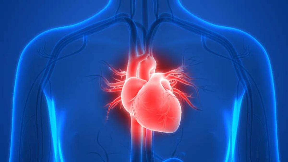 There is evidence of some minor sex differences in symptoms of heart attack (Unsplash)