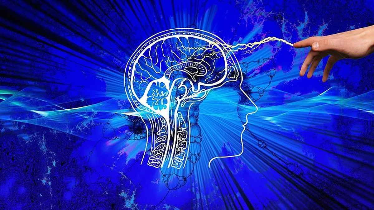 The question of what makes modern humans unique has long been a driving force for researchers. Comparisons with our closest relatives, the Neandertals, therefore provide fascinating insights (Pixabay)