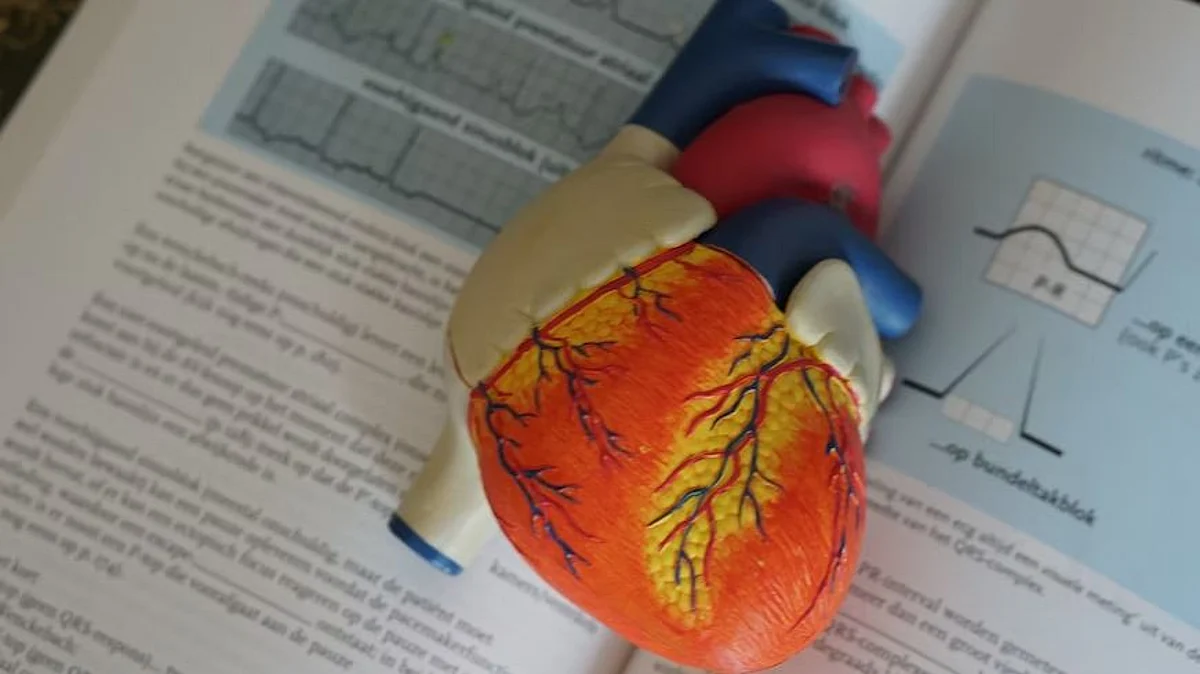 Women and men share most of the same risk factors for cardiovascular disease (CVD), a large international study has found (representational image - Unsplash)