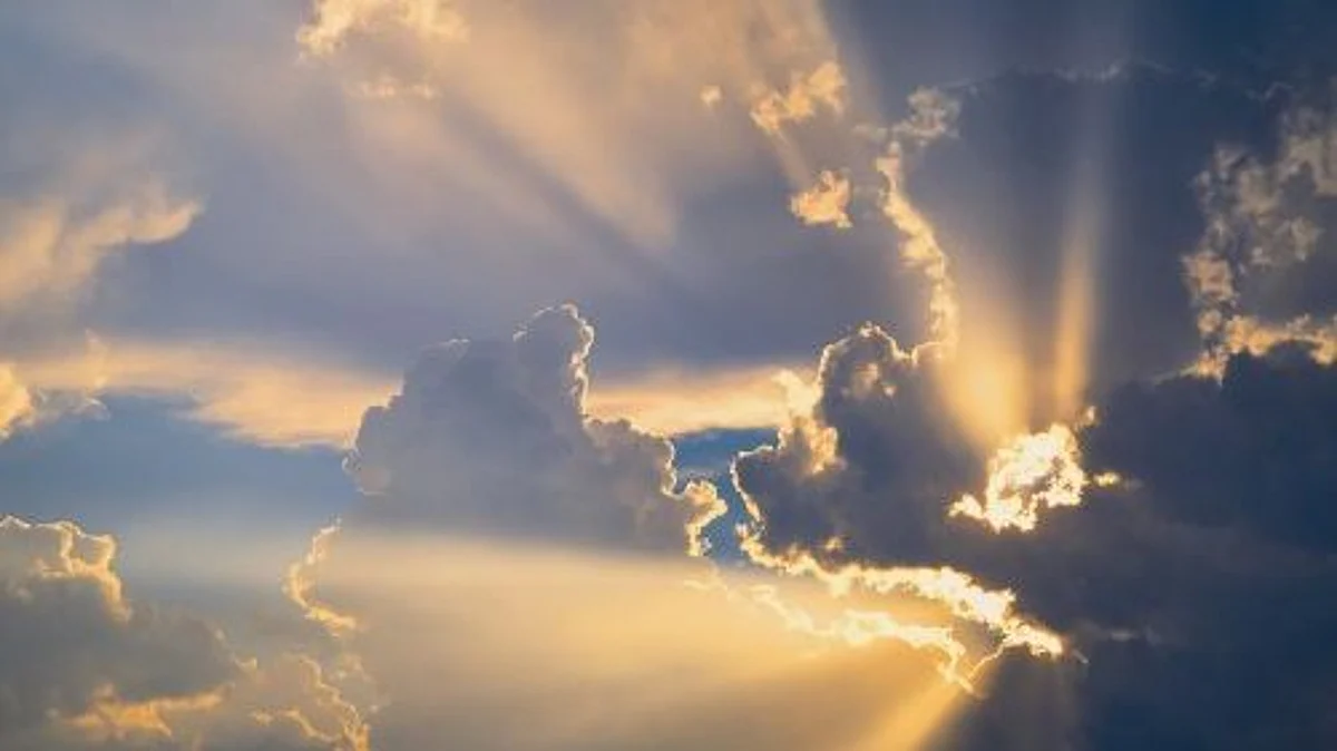It’s the vitamin that we get from the sun, yet despite its ample availability, one in three Australian adults still suffer from mild, moderate or severe vitamin D deficiency.