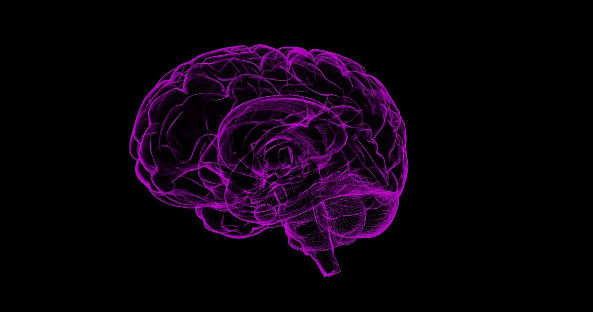 Neurologists and neuroscientists will highlight recent research efforts to fill the gaping scientific hole in the understanding of the role environmental toxins. (Image: Pixabay)