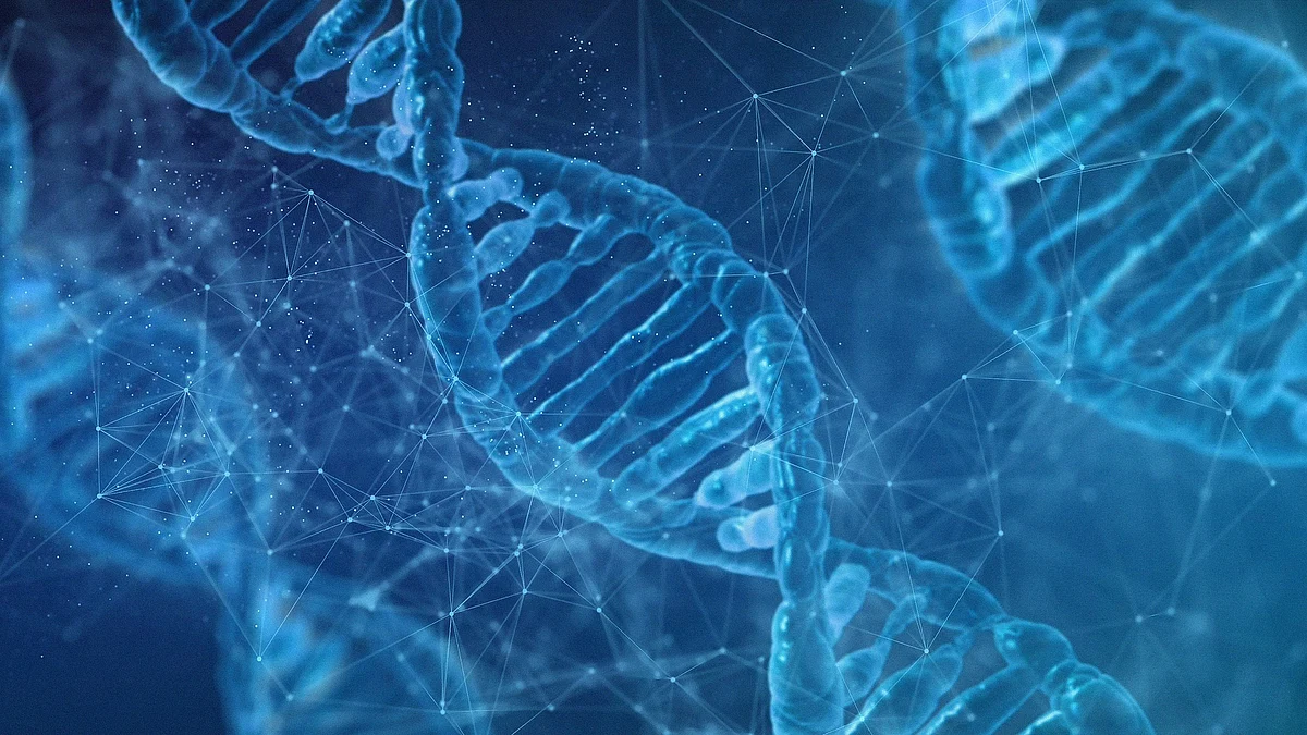 Around a third of the 42 genetic variants identified have been previously linked to general cognitive ability and educational attainment. (Image: Pixabay)