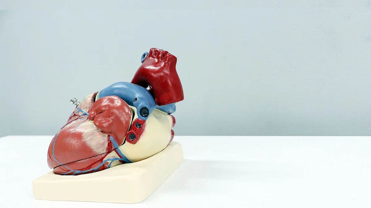 The risk factors studied were metabolic (such as high blood pressure, obesity, and diabetes), behavioral (tobacco smoking and diet), and psychosocial (economic status and depression). (Image: Unsplash)