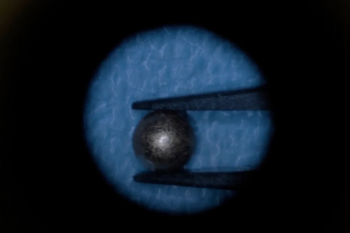 A small, bead-like magnet is used in a new approach to measuring muscle position. (Image: Newswise)
