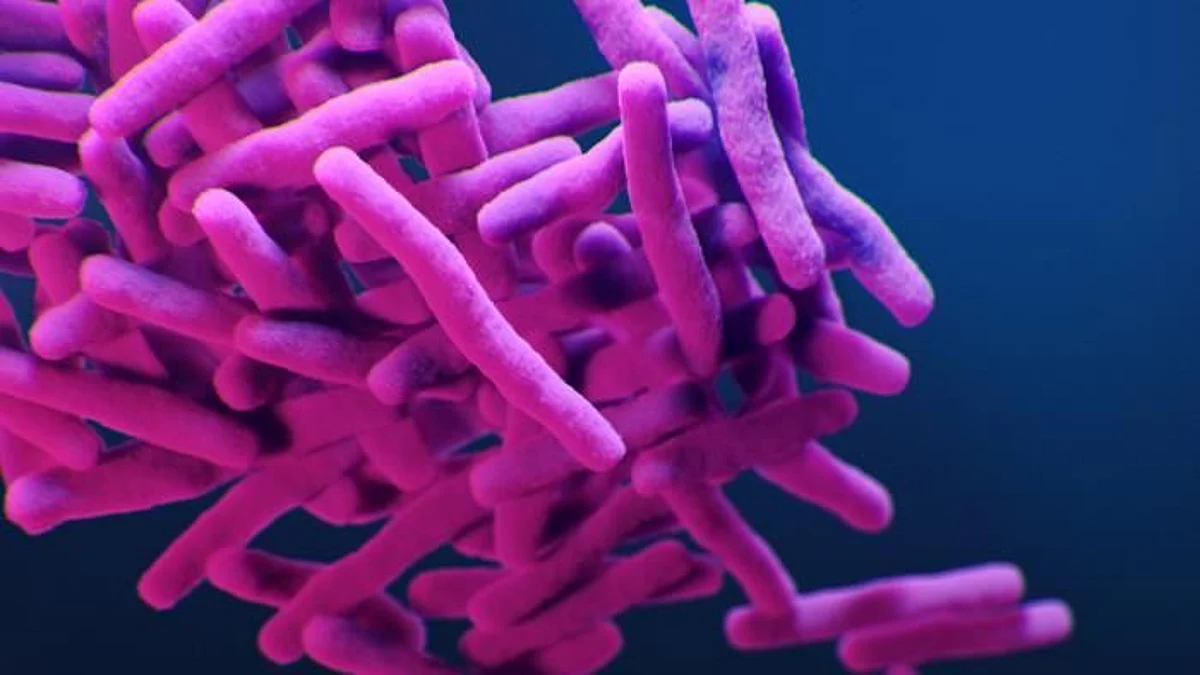 Significant time is needed to determine the drug susceptibility profile of a bacterial infection. Now, researchers from Nara Institute of Science and Technology and collaborating partners have published reports on a technology that will dramatically speed up this otherwise slow process and possibly help save lives.
