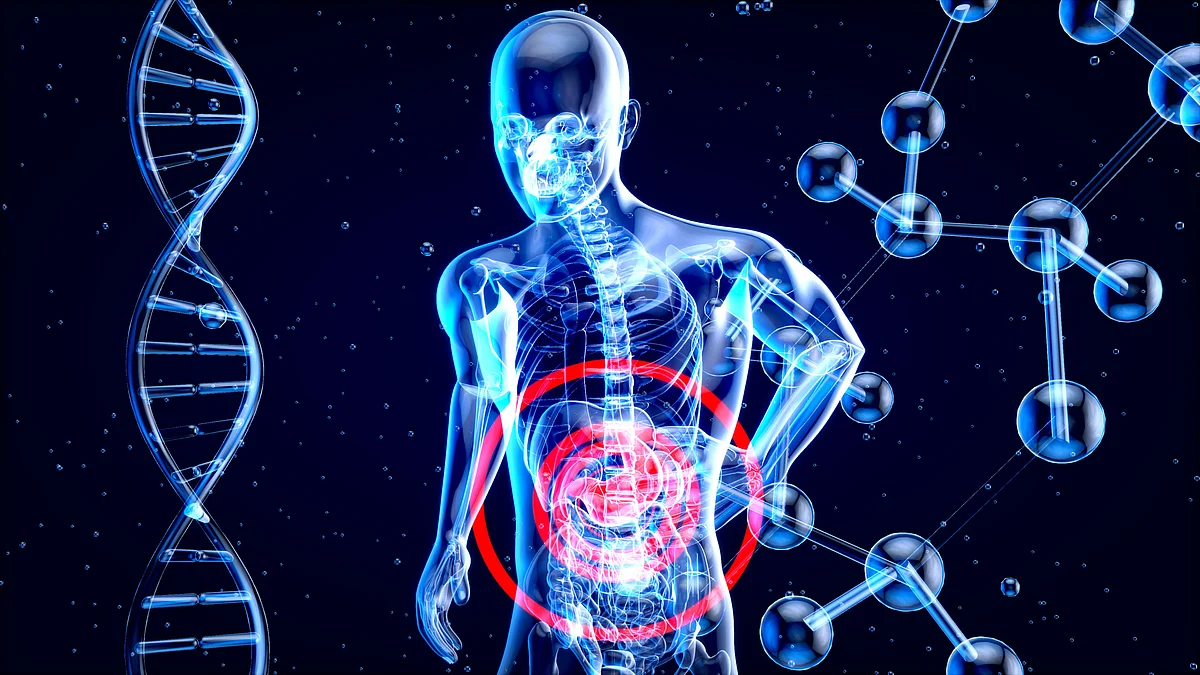 The mechanisms underlying obesity-induced liver cancer are not well understood. (Image: Unsplash)