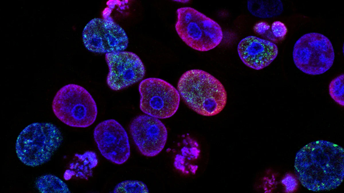 Pathological processes are usually characterized by altered gene activity in the cells affected. So, gaining an accurate picture of gene activity can provide the key to the development of new, targeted therapies. (Image: Unsplash)