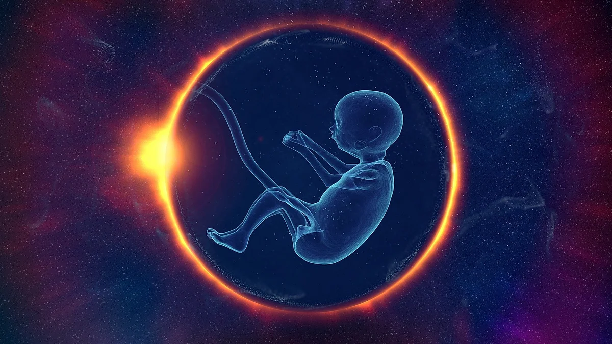 Gene plays important role in embryonic development(Image: Pixabay)